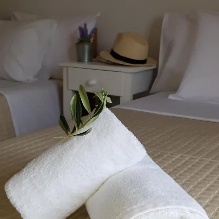 Corfu Olivia Moraḯtika