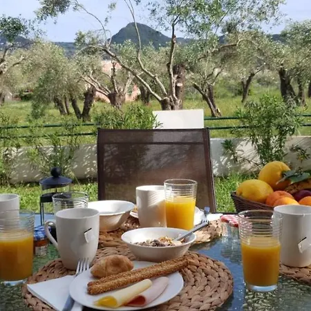 Corfu Olivia Apartment *